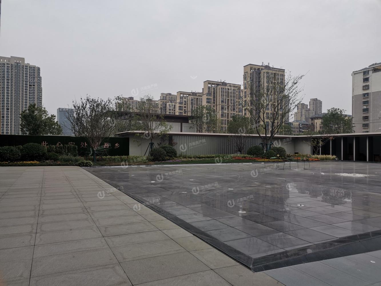 
                            金地明湖樾 