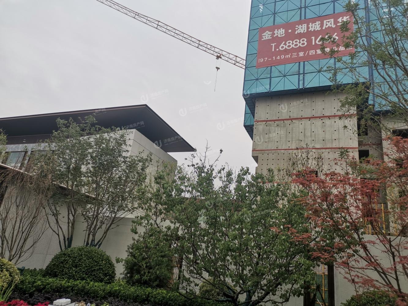 
                            金地明湖樾 