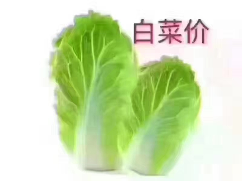 优质房源
