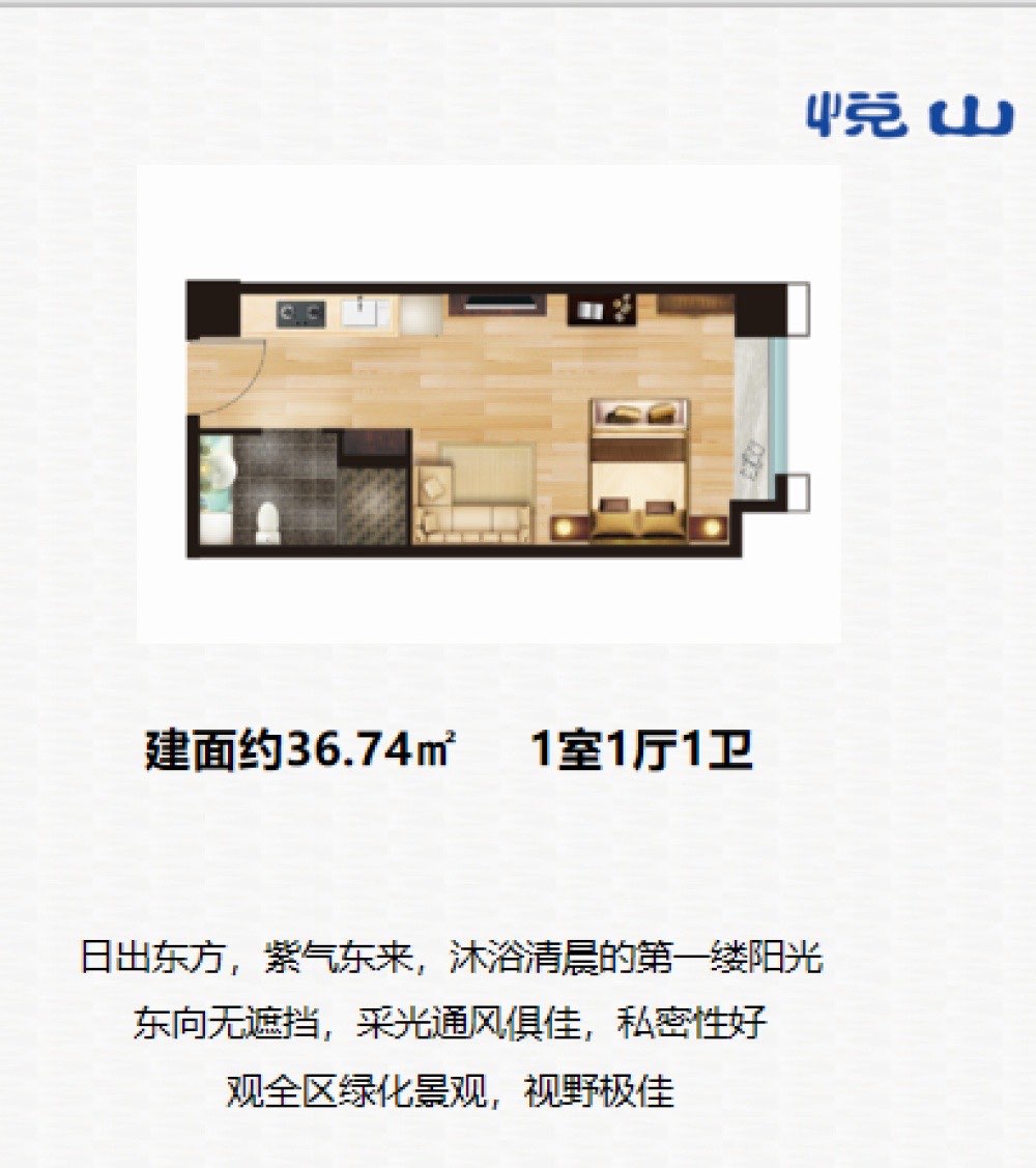 精装公寓现房，投资回报率高达百分之8以上