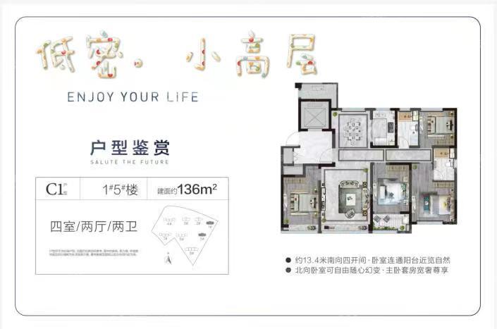 
                            绿城·明月风荷 