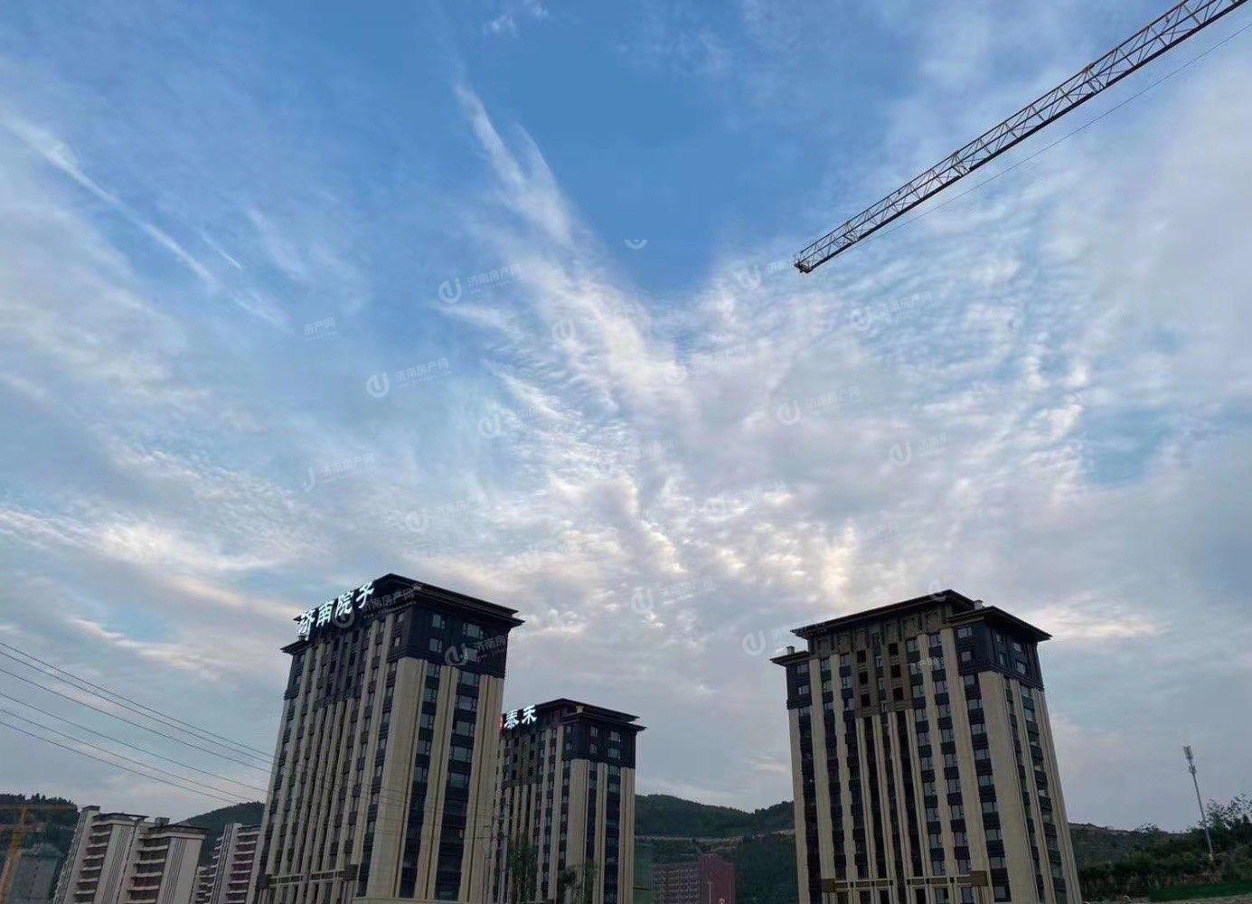 
                            泰禾济南院子 