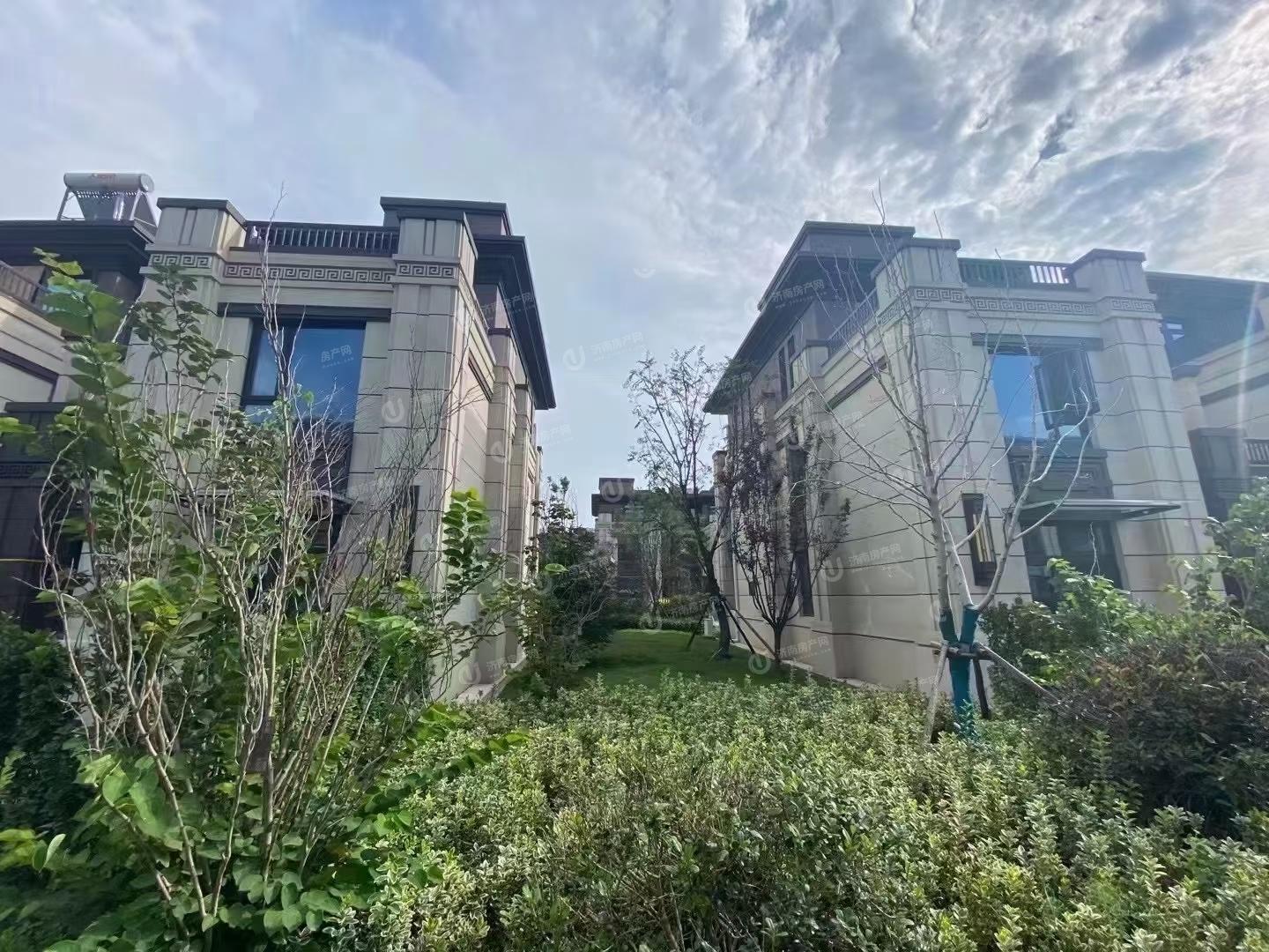 
                            金地明湖樾 