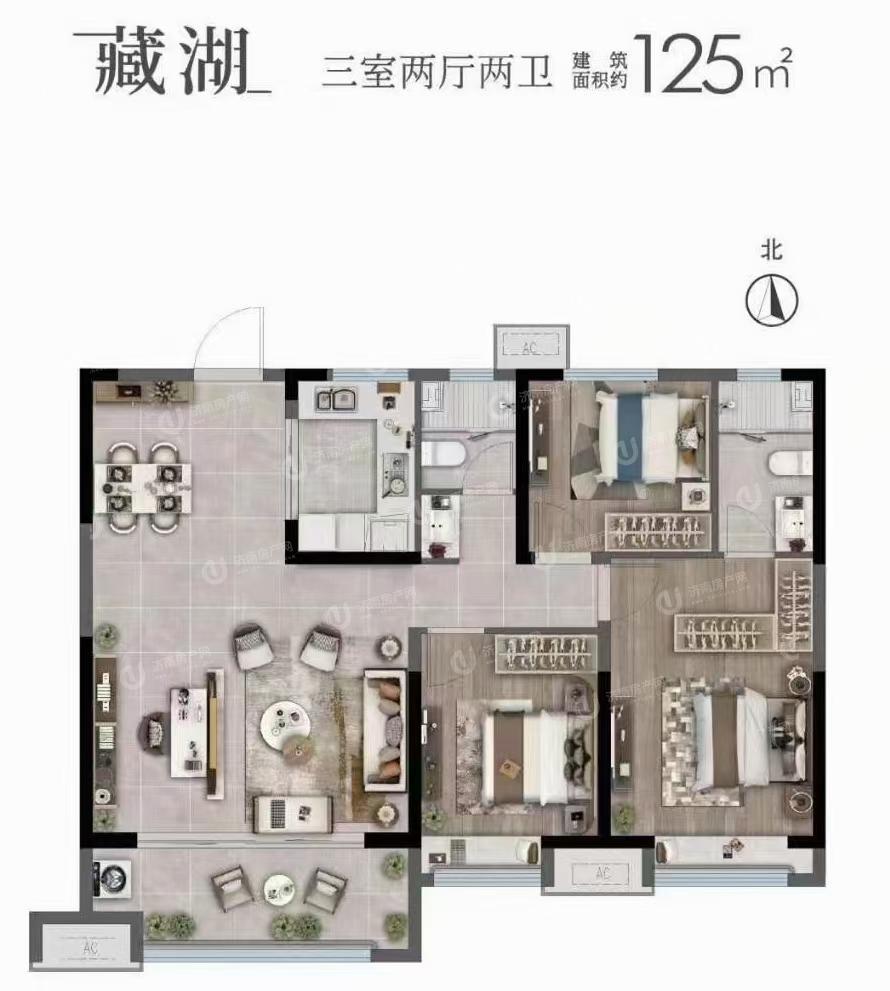 
                            金地明湖樾 