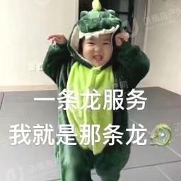 
                            名匠华府 