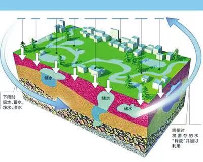 济南海绵城市建设.jpg