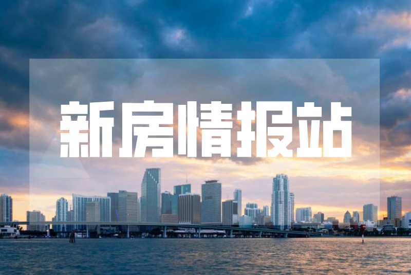 新房情报站.png