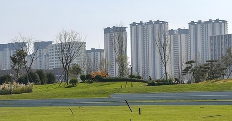 中央公园.jpg