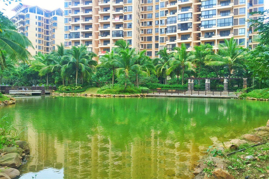小区实景图