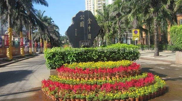 海口市容市貌与城市特色介绍