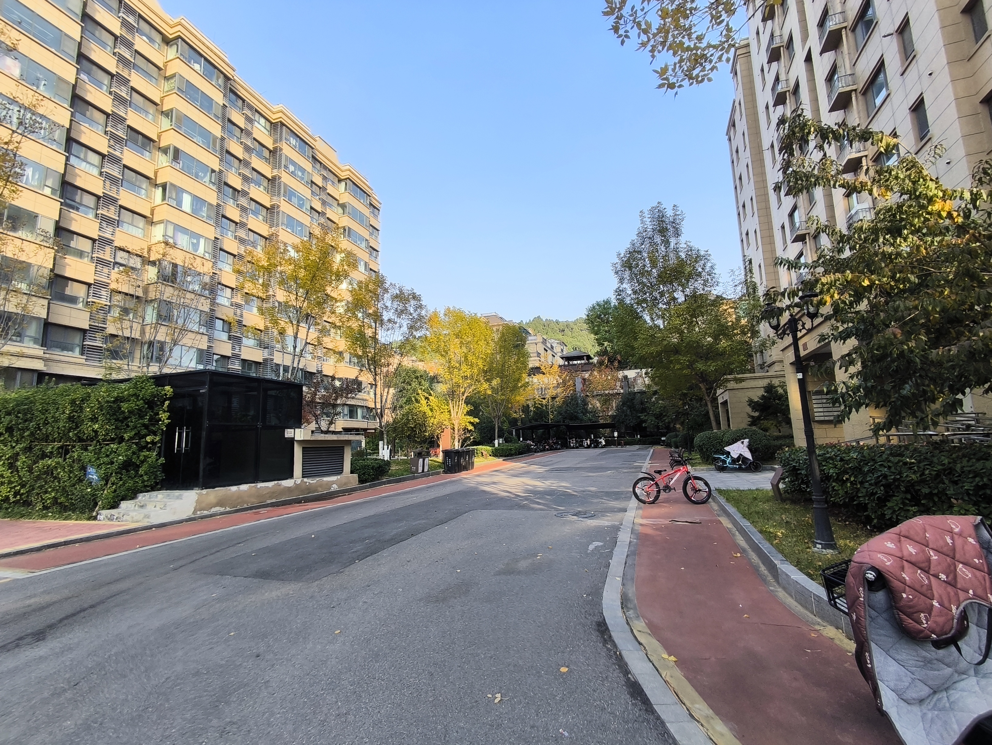 银丰唐郡玫瑰园