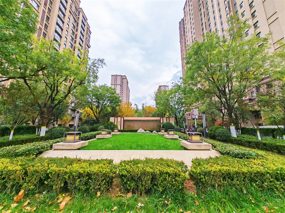 鲁能领秀城中央公园东区