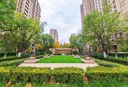 鲁能领秀城中央公园东区