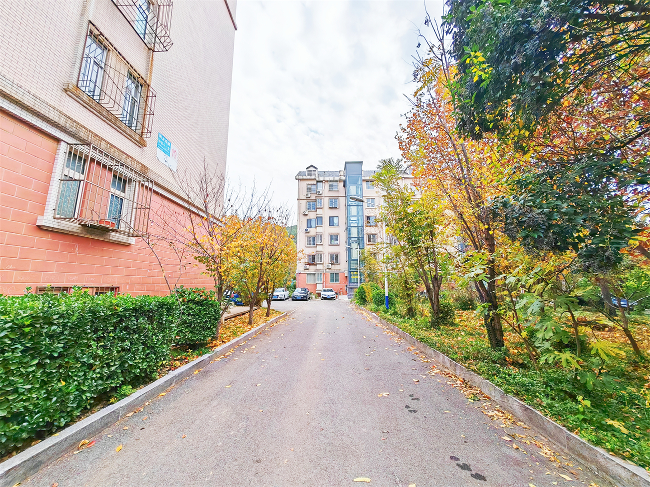 阳光舜城中区十一区