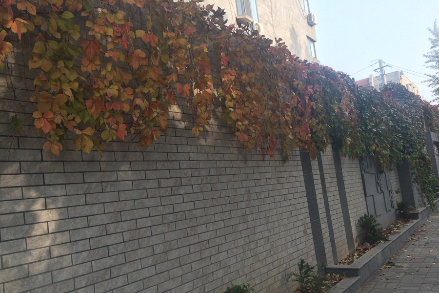 【高清组图】郎茂山小区 闲适的生活状态
