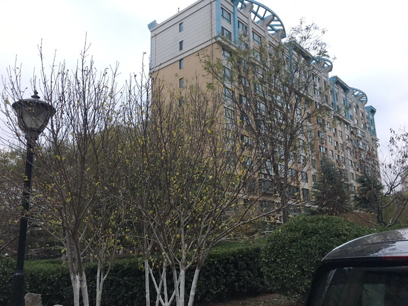 银座花园小区内景