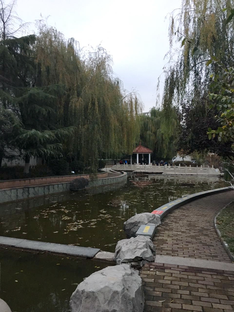 银座花园小区内景