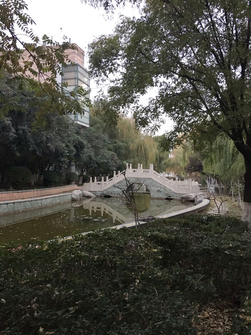 银座花园小区内景