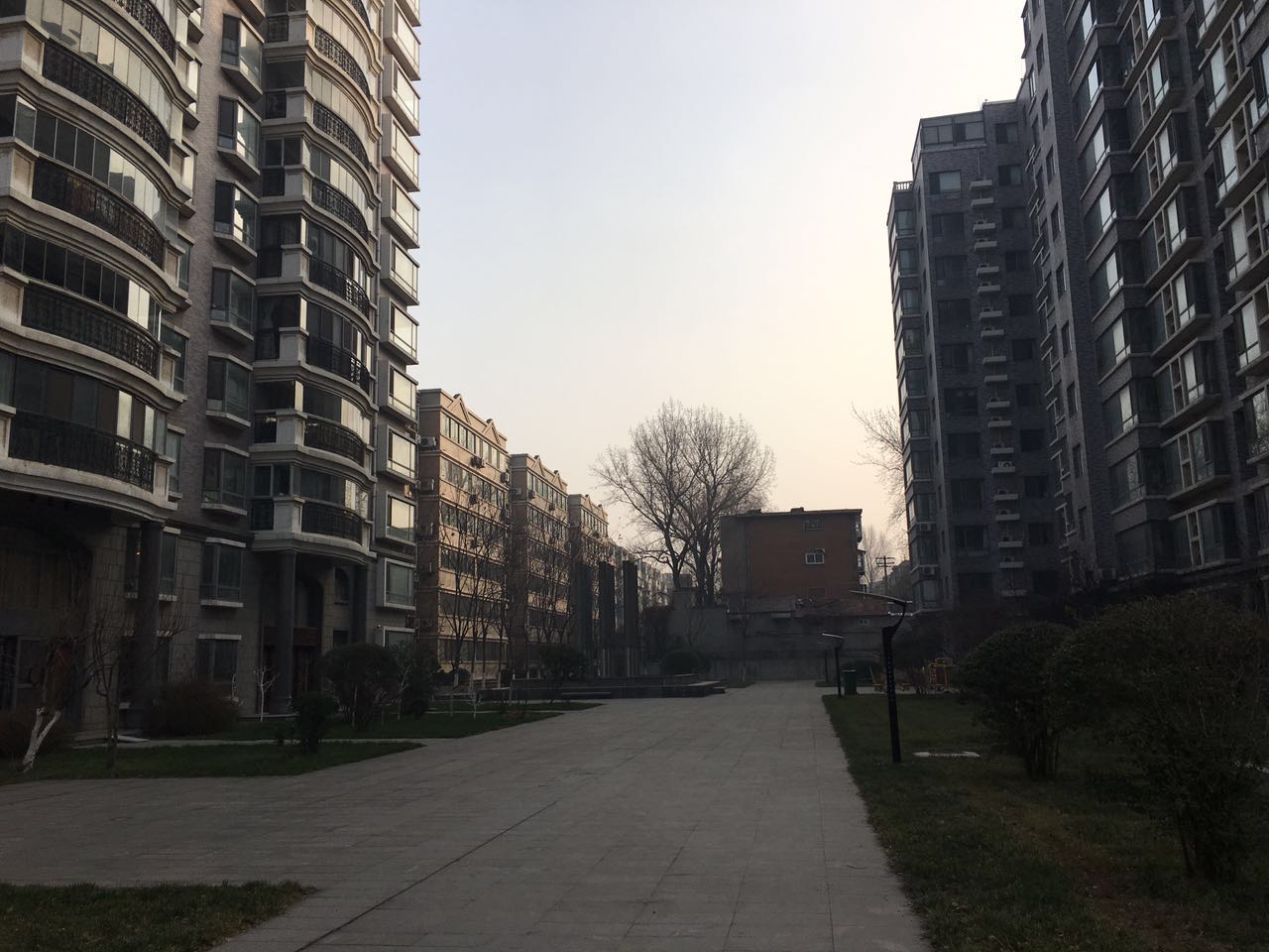 山大路大舜天成