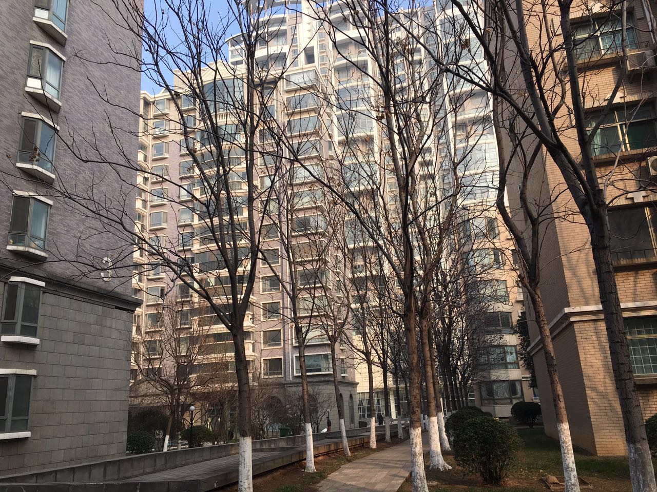 山大路大舜天成