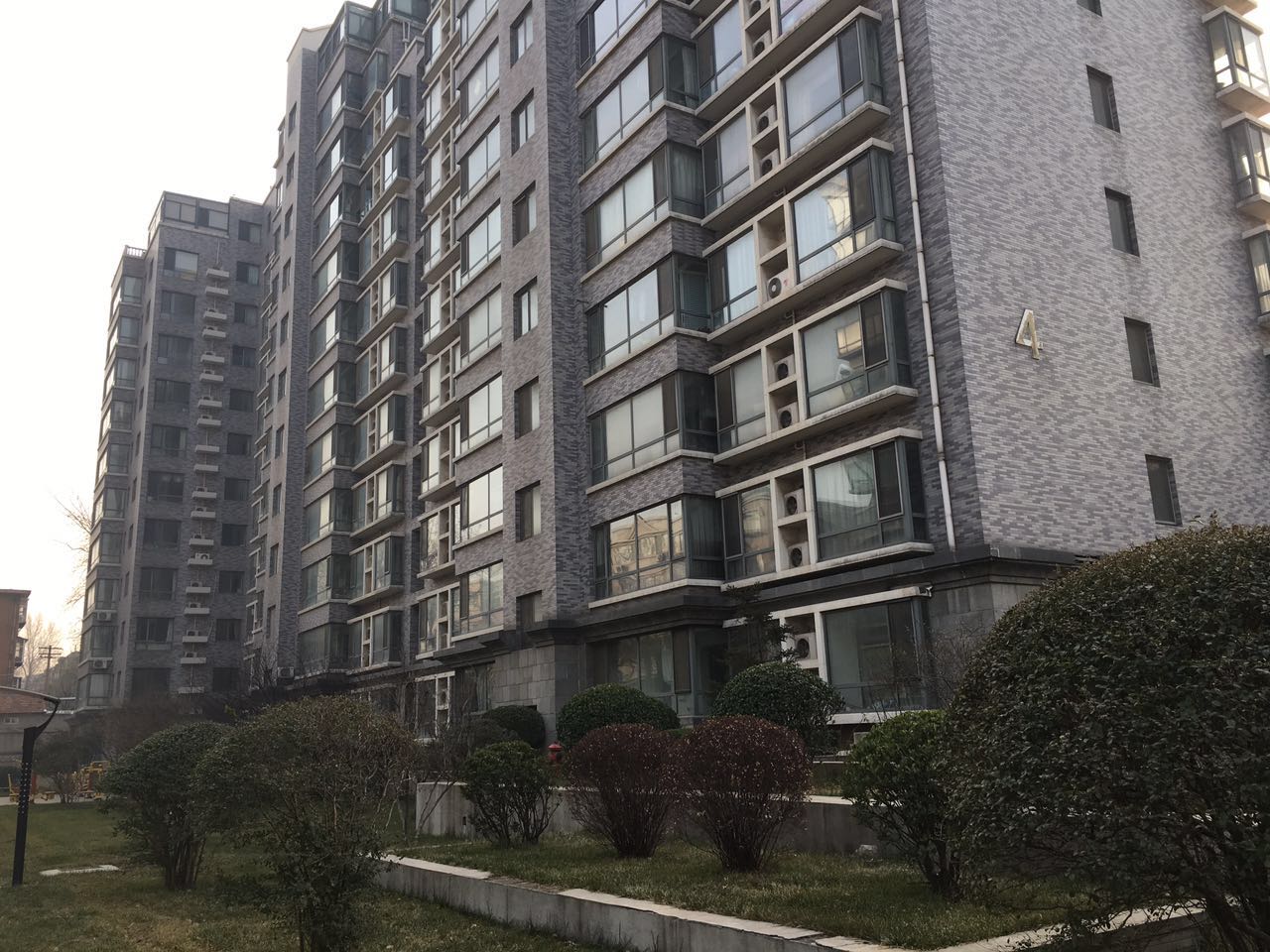 山大路大舜天成