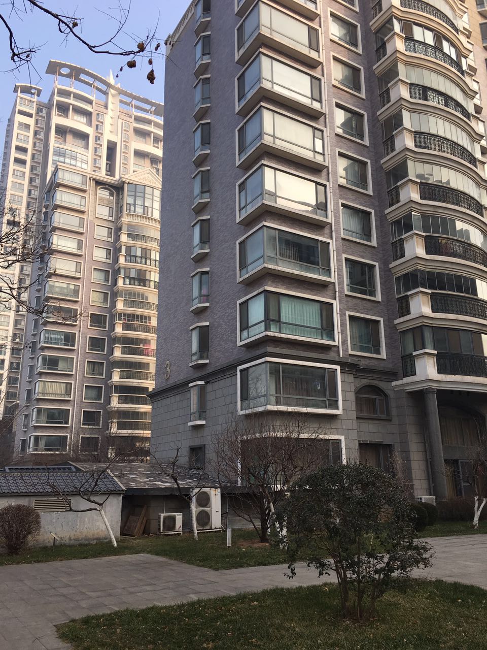 山大路大舜天成