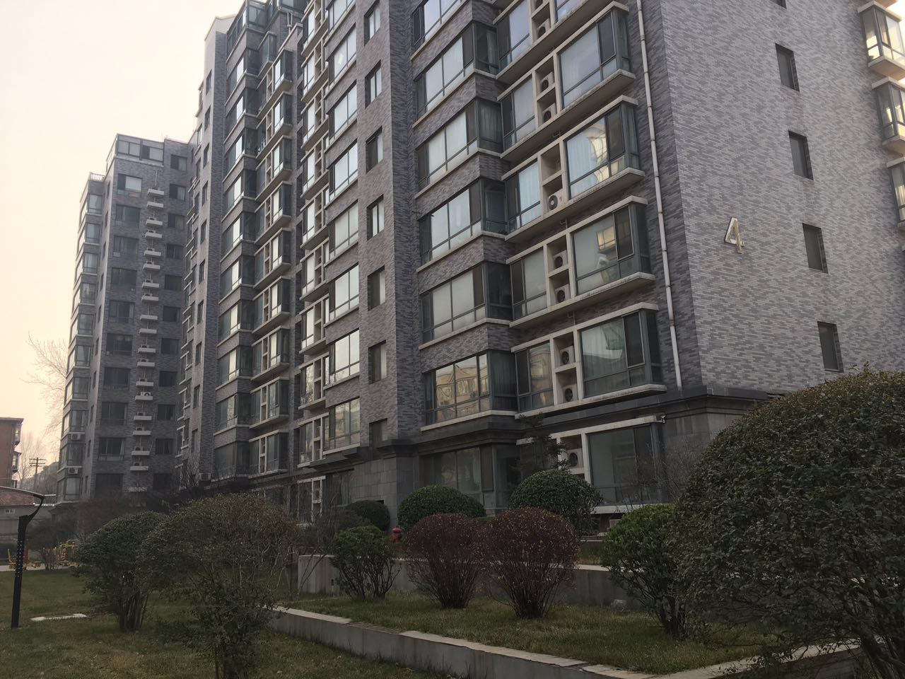 山大路大舜天成