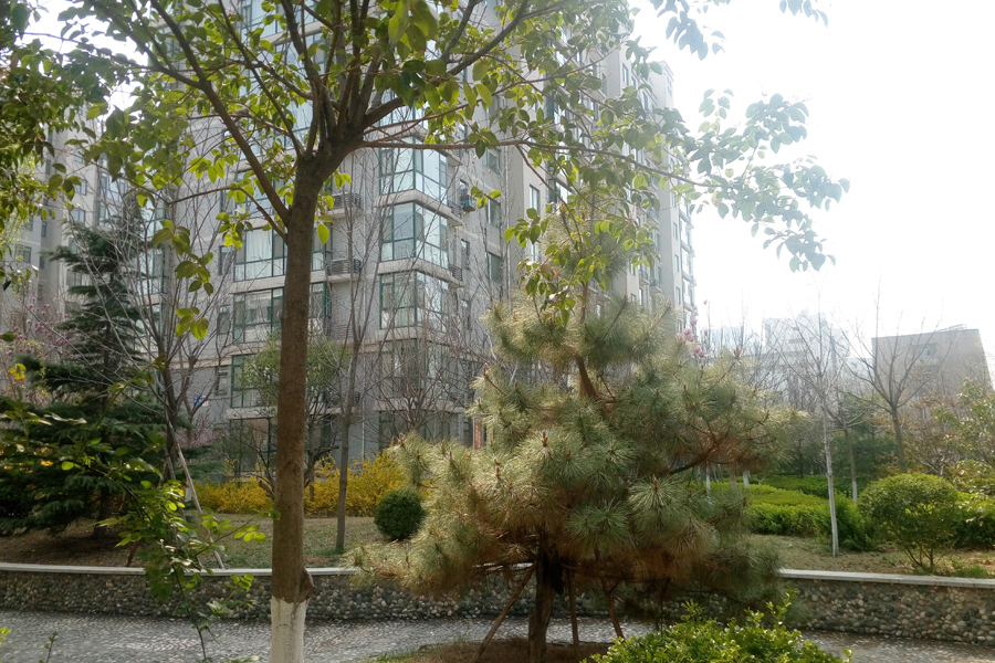 历山名郡