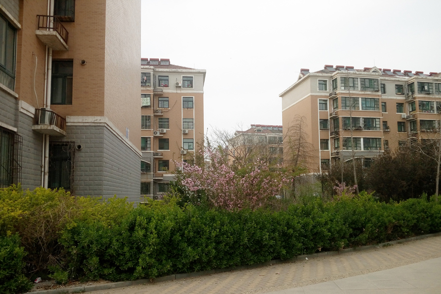 鲍山花园