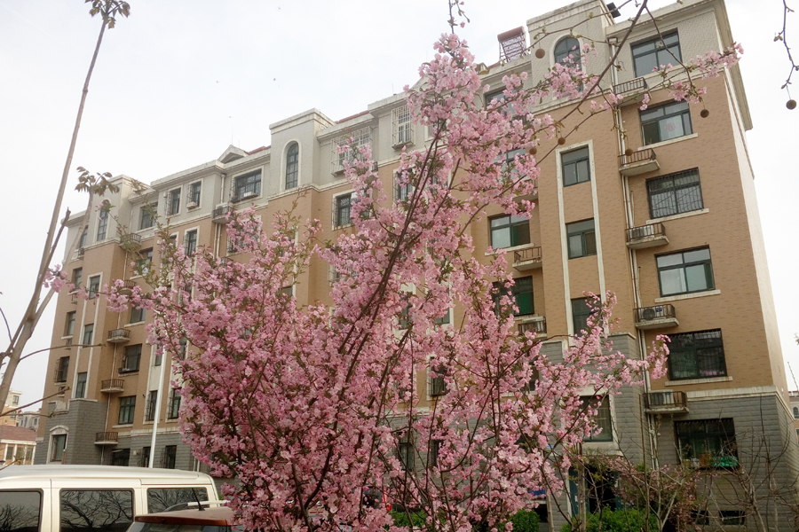 鲍山花园