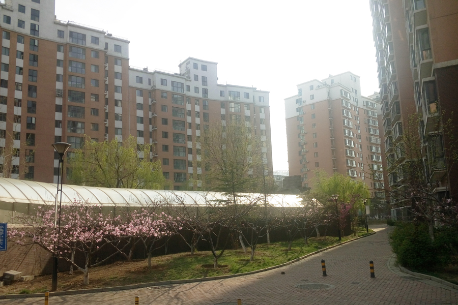 新世界阳光花园