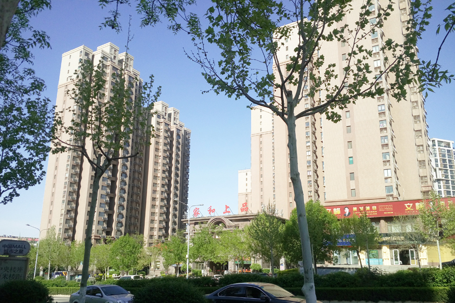 泉景天沅
