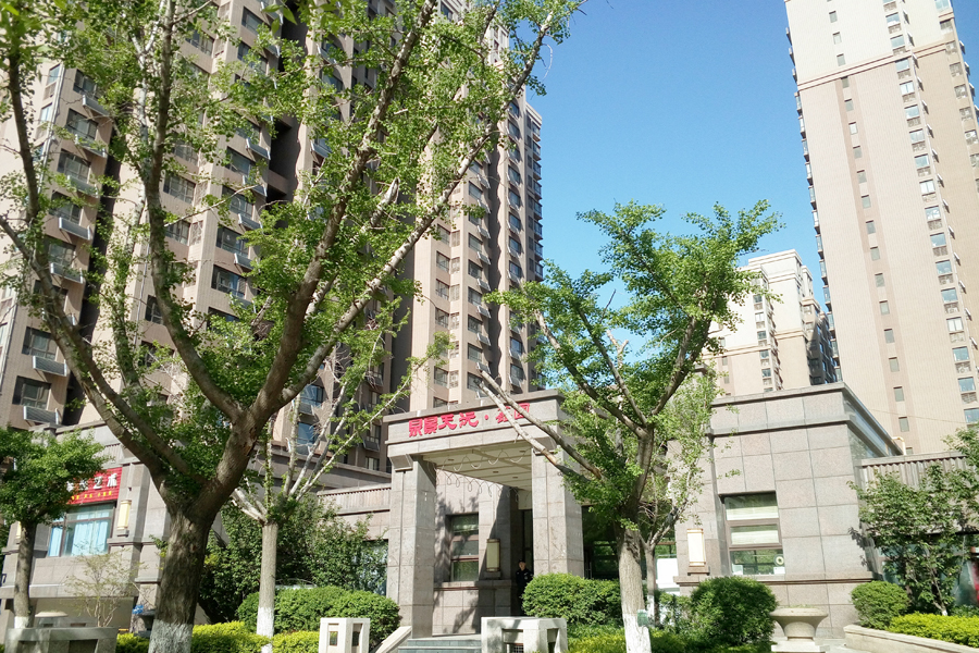 泉景天沅