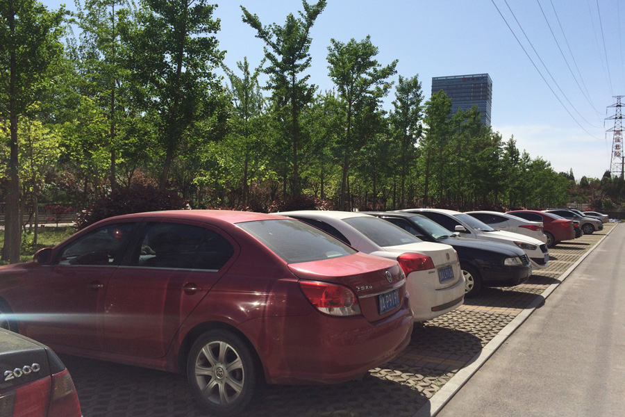 【高清组图】小编探盘记——蓝天绿园