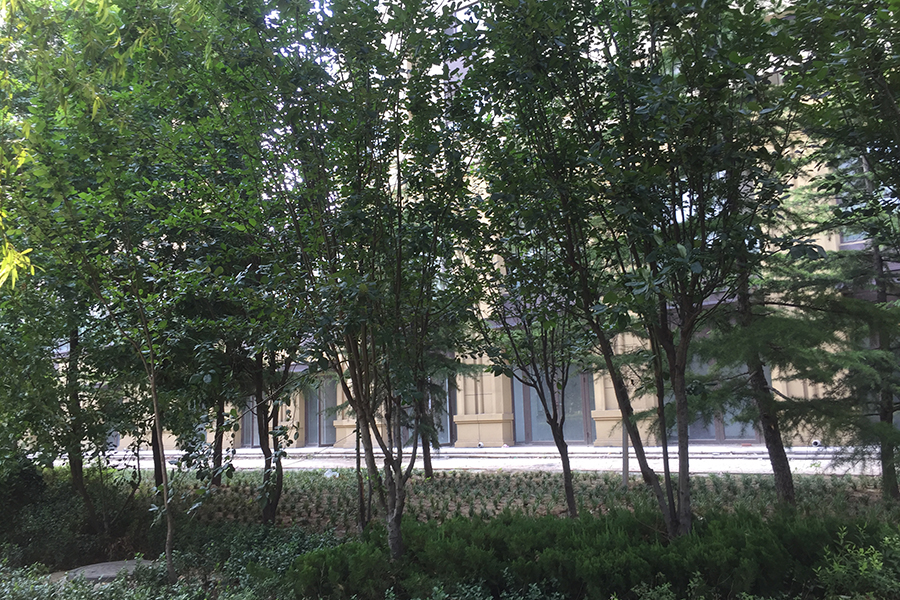 绿地新里香榭丽公馆西组团社区实景图图（2017.7.21）