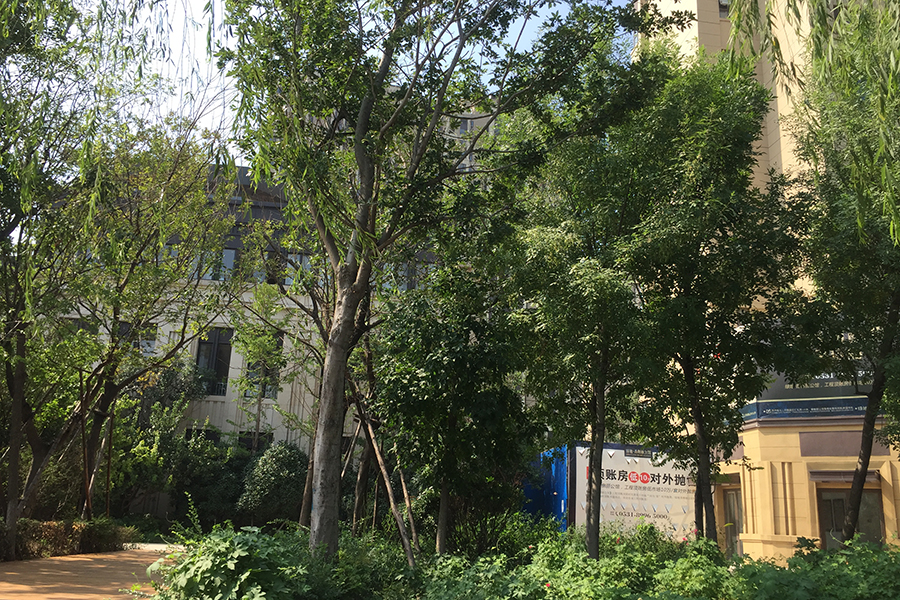 绿地新里香榭丽公馆西组团社区实景图图（2017.7.21）