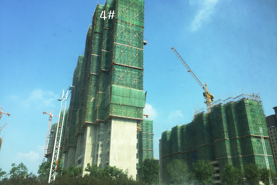 鲁能泰山7号