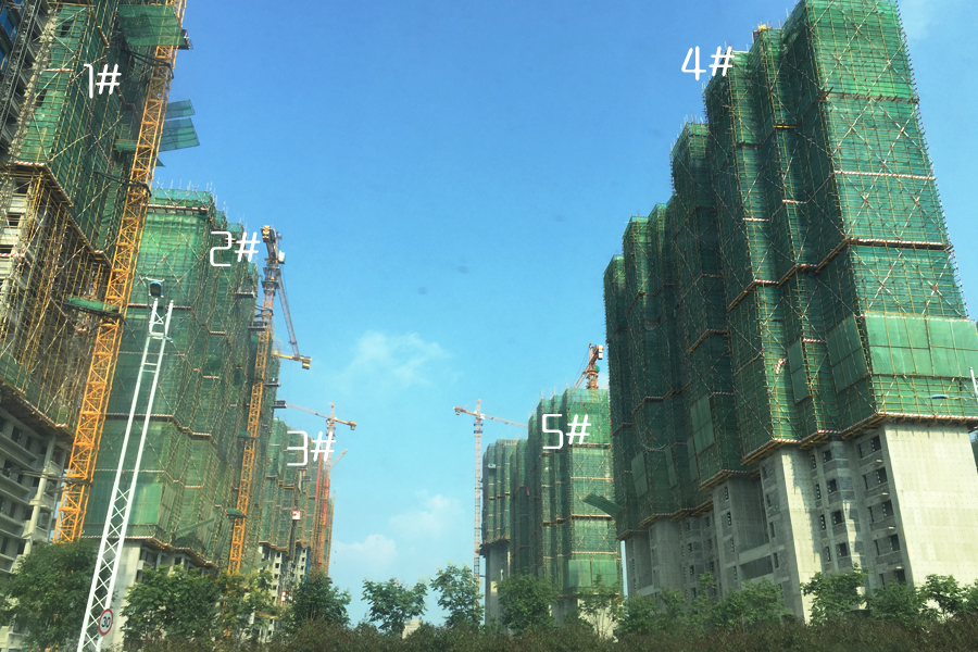 鲁能泰山7号