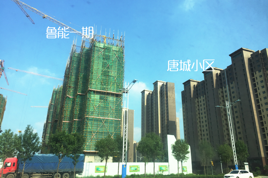 鲁能泰山7号