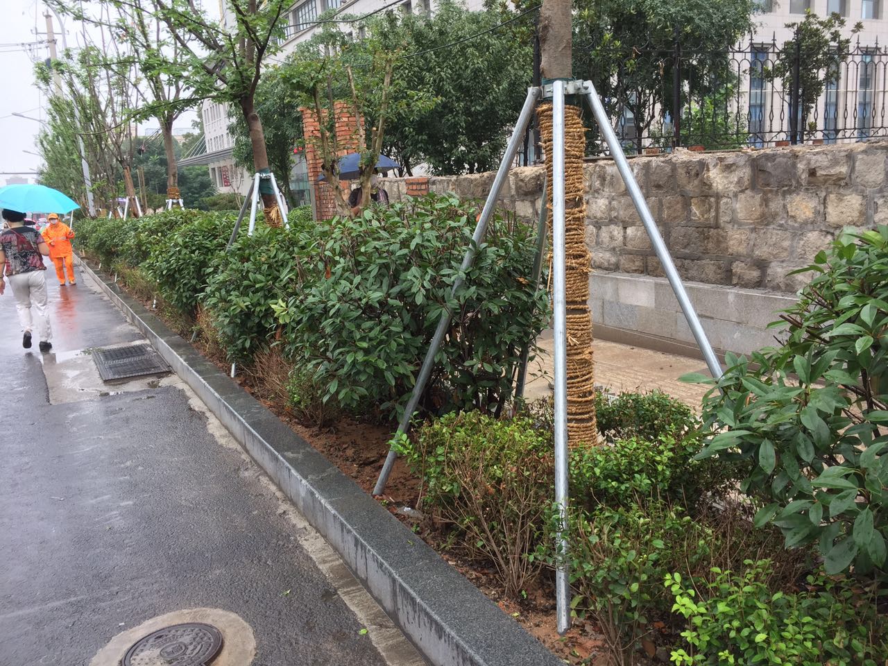 拆违后的山师东路现状 更宽阔更美丽