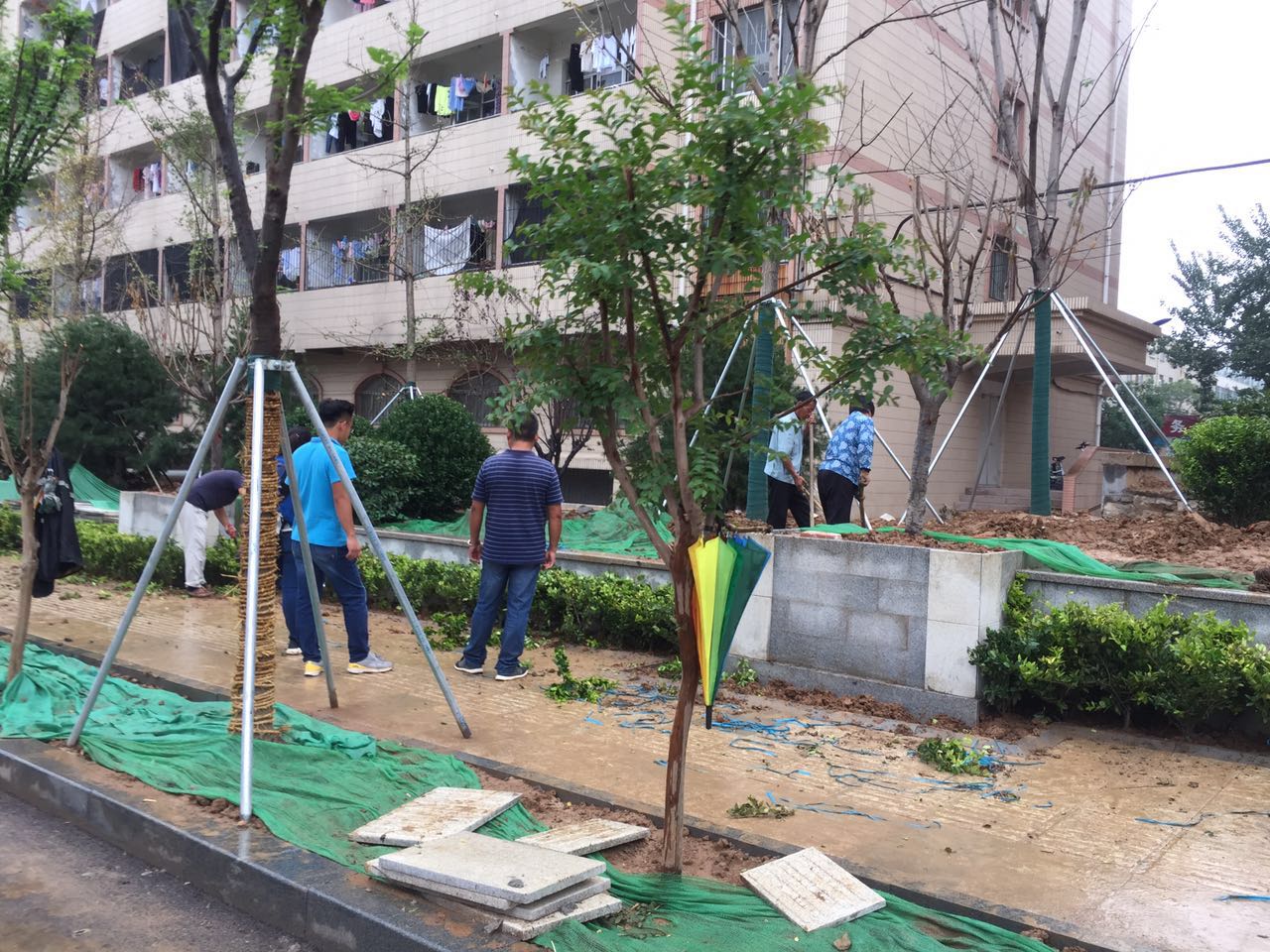 拆违后的山师东路现状 更宽阔更美丽