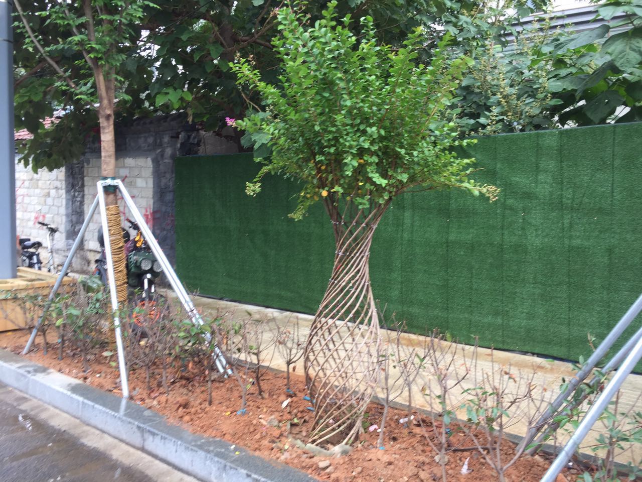 拆违后的山师东路现状 更宽阔更美丽