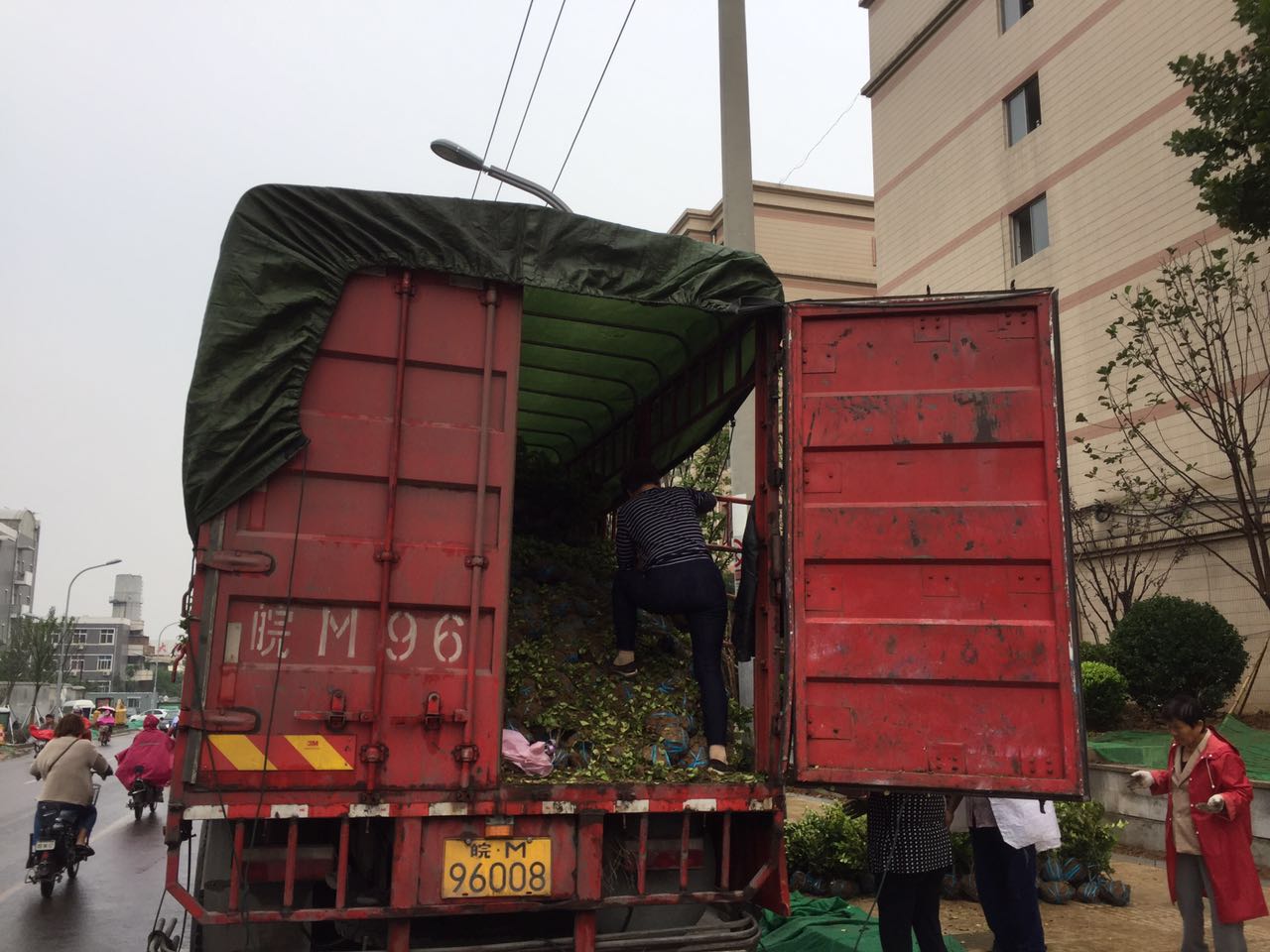 拆违后的山师东路现状 更宽阔更美丽
