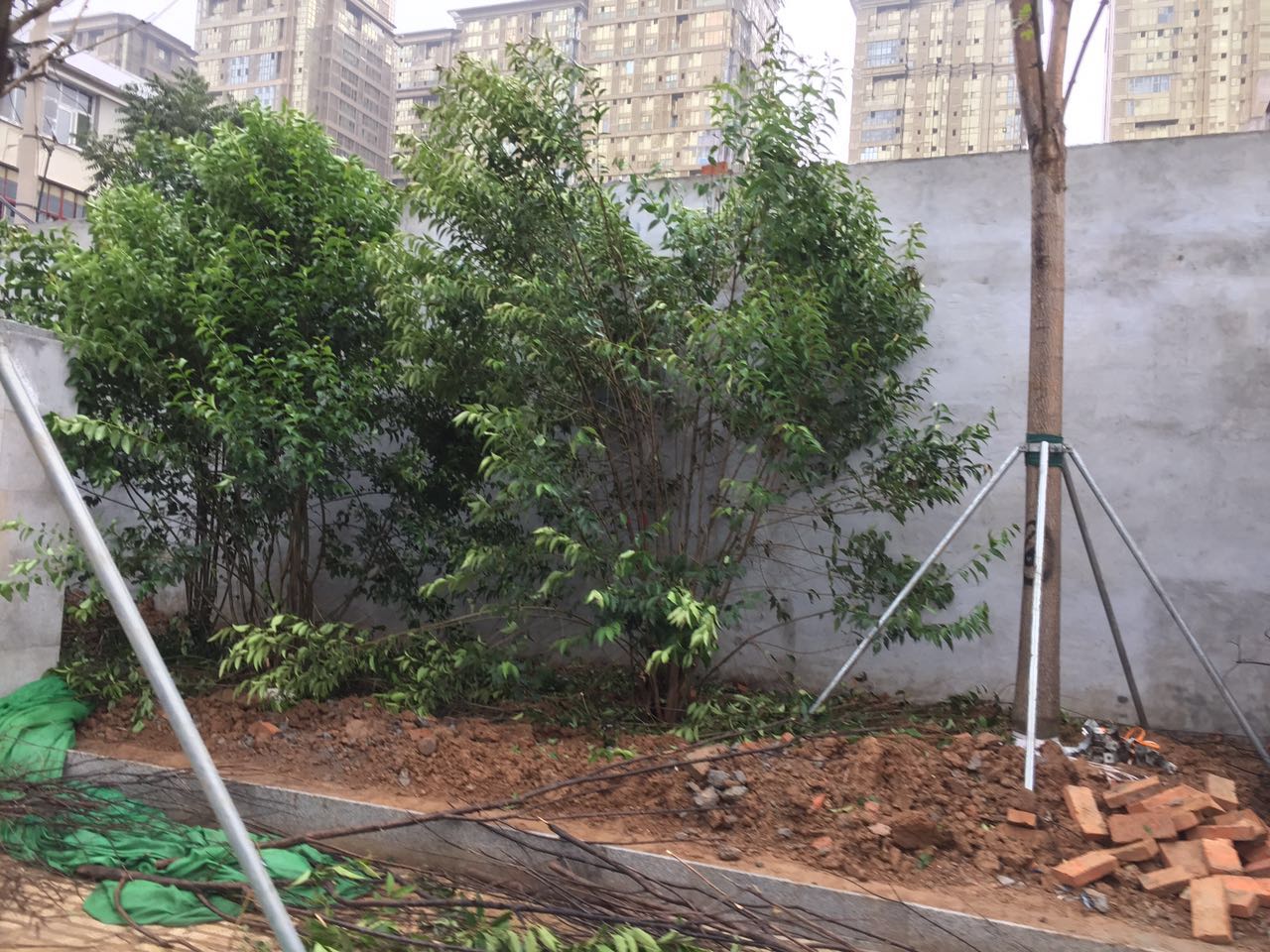 拆违后的山师东路现状 更宽阔更美丽