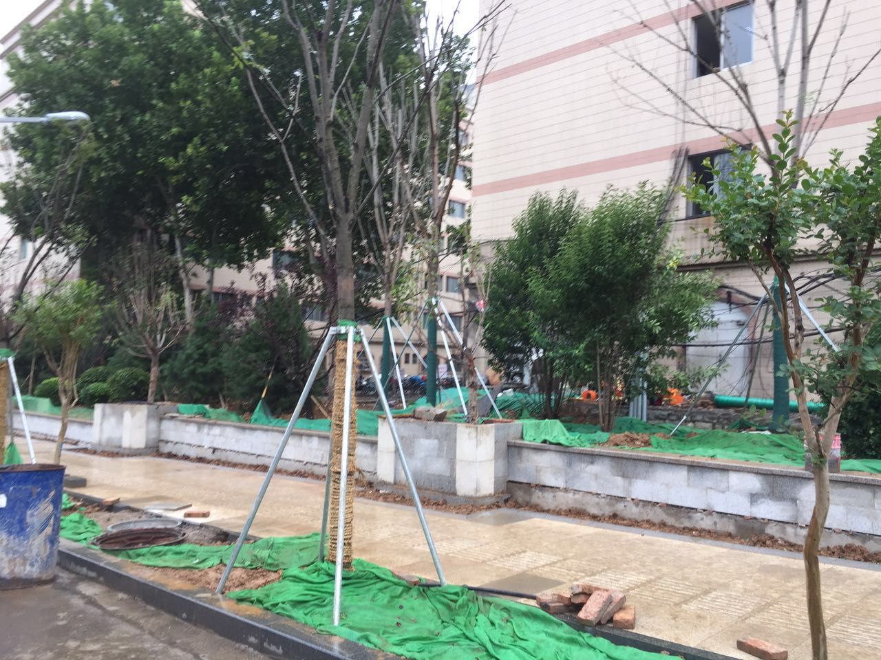 拆违后的山师东路现状 更宽阔更美丽