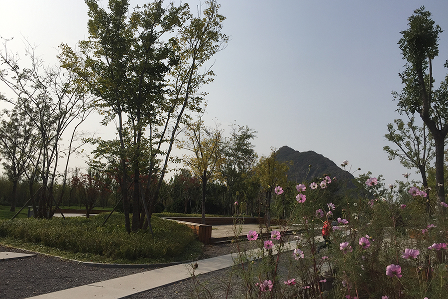 华山湿地公园一期实景图（2017.10.22）