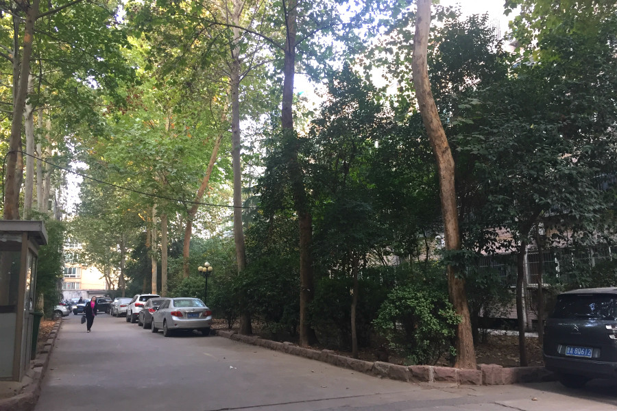 建鑫花园
