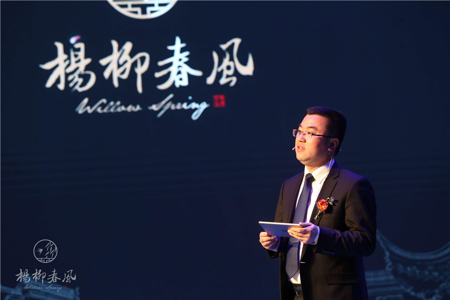 蓝城杨柳春风