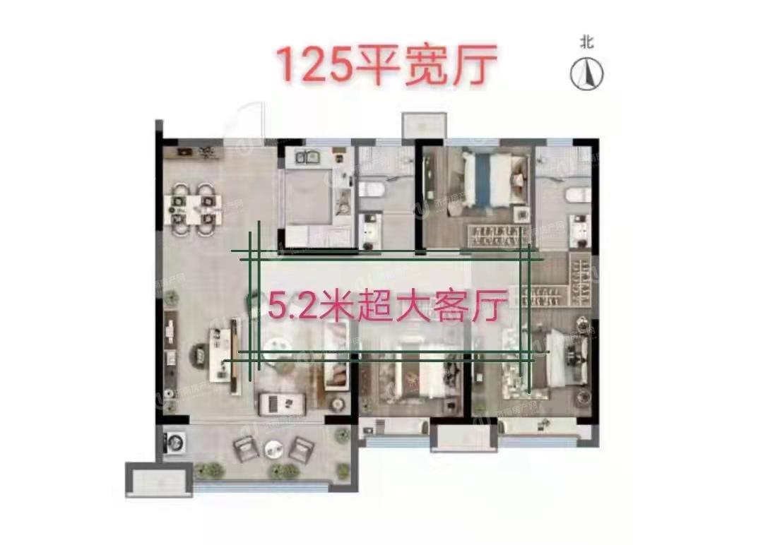 
                            金地明湖樾 