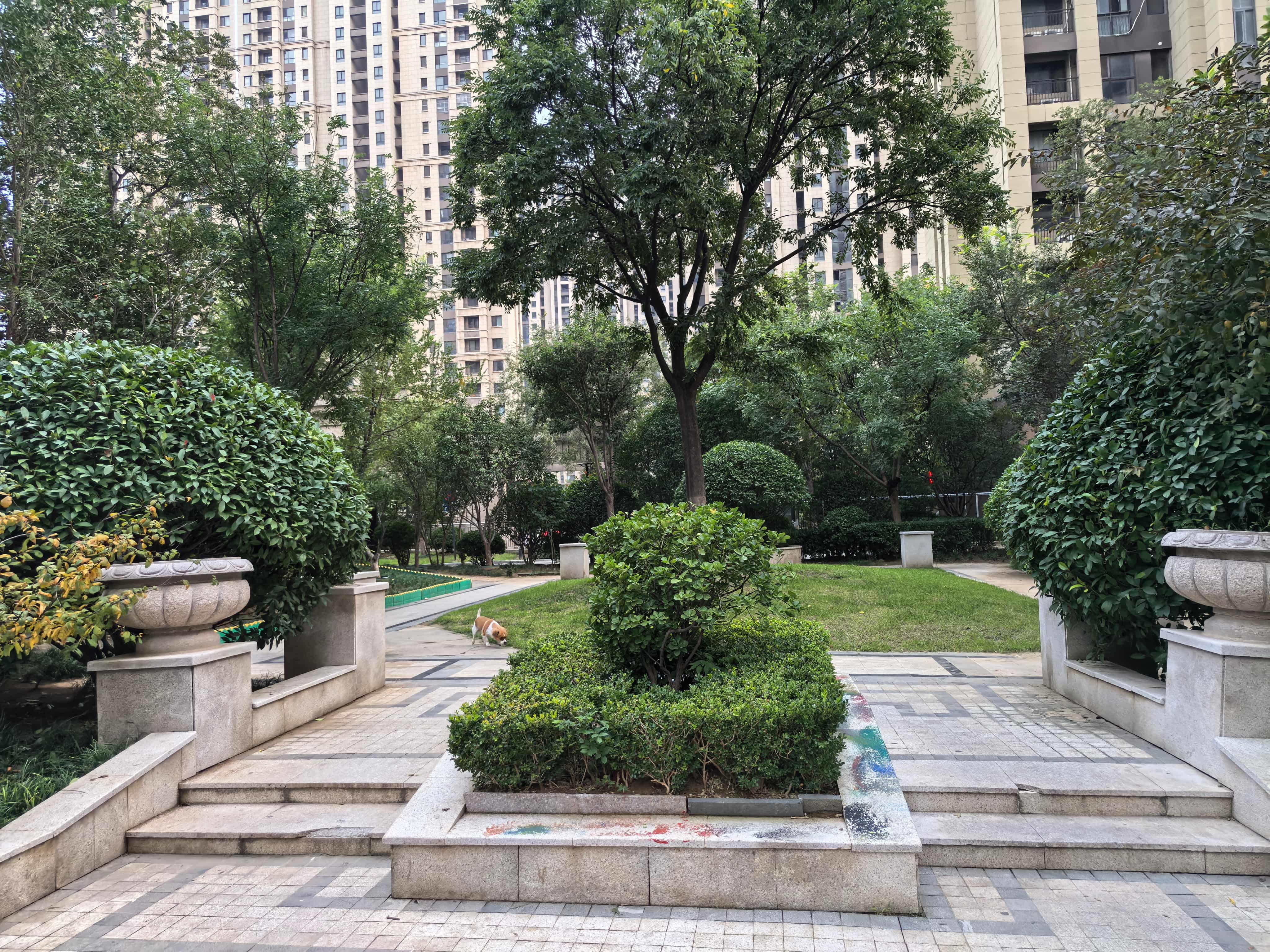 绿地中央广场一区